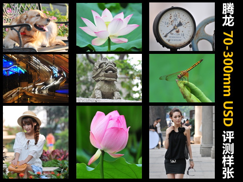 腾龙SP 70-300mm F4-5.6USD镜头 腾龙SP 70-300mm F4-5.6USD镜头