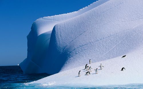 《南极》主题裏的壁纸提取出来,全部为高清大图,喜欢的朋友可以在点击