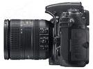 尼康入门性价王D3100保定仅售3900元