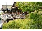 舞妓当麻豆 索尼α900日本试拍之旅(三)