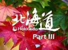 带着索尼α550 回味5天4夜北海道之旅(3)
