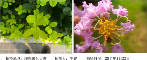 爱国者数码相机T70魅力上市