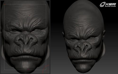 纤毫毕现！Zbrush打造逼真大猩猩金刚