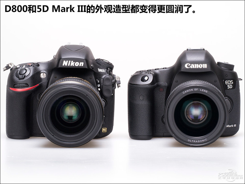 ῵D800ͼ