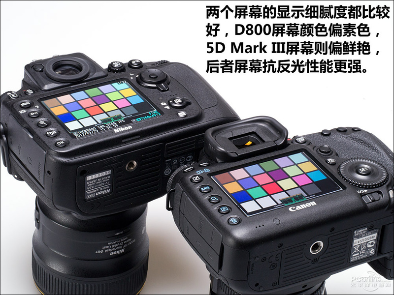 ῵D800ͼ