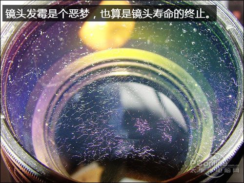 镜头发霉