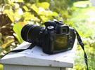 价格稳定 佳能60D 18-135mm报价7300元