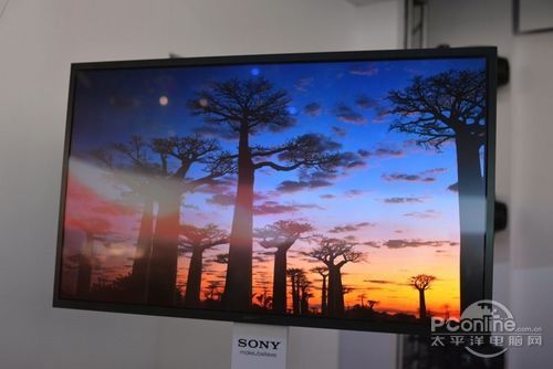 OLED
