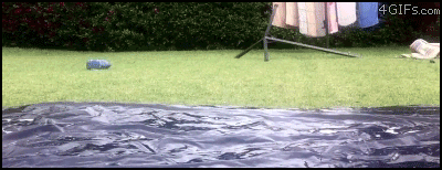һһᣡƳԳʵ