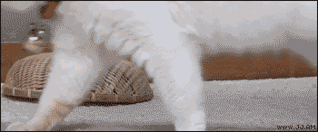 һһᣡƳԳʵ