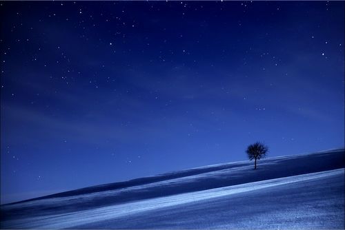 以往很多夜景照片,都是通过长时间曝光获得的,天空中的星星拉出同心