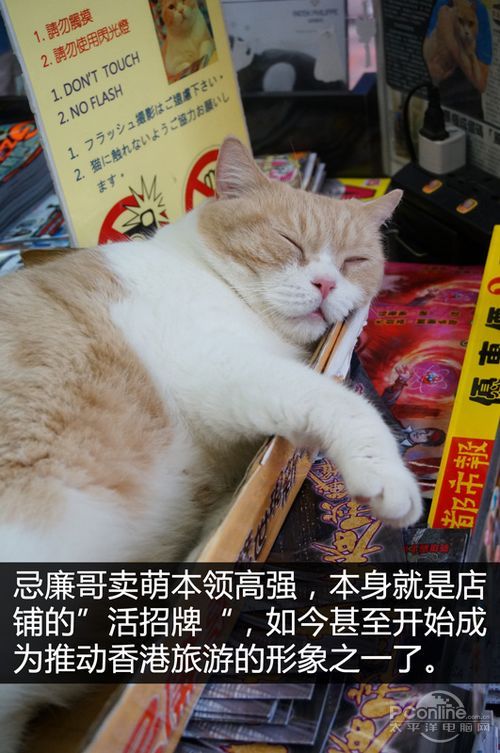 万元耳机随便玩
