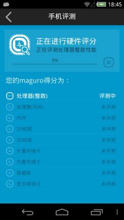 鲁大师专业版硬件跑分界面