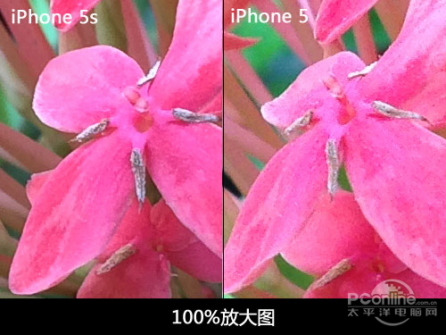 苹果iPhone5S移动版 16GB样张对比