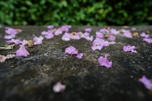 ˾12mm F2.8ͼ