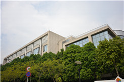 样张 样张