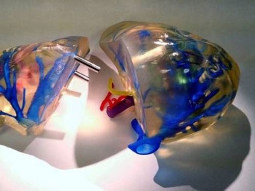 3d打印的新应用 供应科学研究的肝脏模型