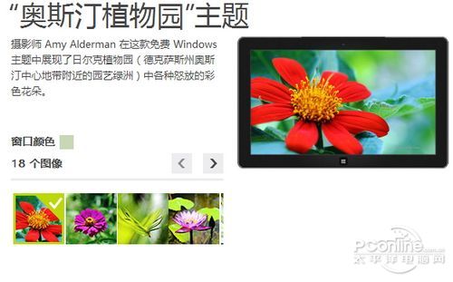 Win8.1}