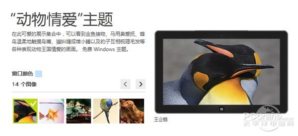 Win8}