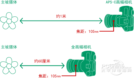 真相侠解惑:全画幅相机景深真的更浅吗?