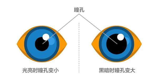 厂商来风 正文   在戏院或者电影院等昏暗的地方,人的瞳孔会自然放大