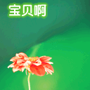 我来了动态图片_我来了上线表情况图片