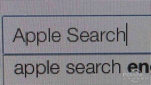 Apple Search;ƻ;ȸ
