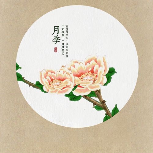 软件 创意设计 设计专区 佳作赏析 正文    12月月花    图01   一月