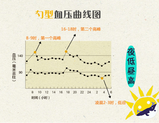 勺型血压曲线图