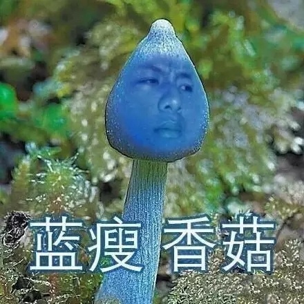 蓝瘦香菇表情:最新搞笑蓝瘦香菇表情