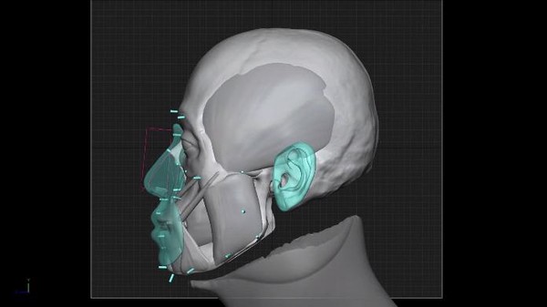 artec 3d扫描仪被应用于秦始皇陵兵马俑研究项目