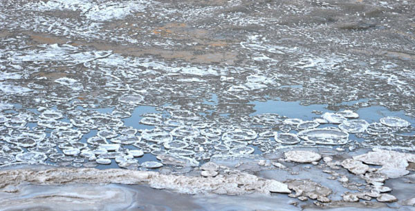 河道结冰黄河现大面积流凌 浩浩荡荡气势磅礴