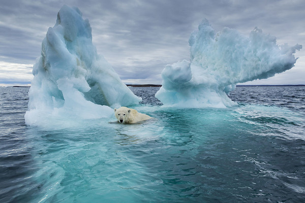 北极冰雪融化速度惊人 2040年或完全无冰存在