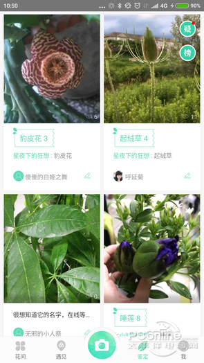 拍照就知道花叫啥名字!手机上的超给力识花app