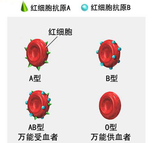 准妈妈血型全世界都没见过,专家:基因突变造成