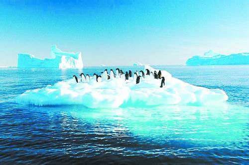 海平面上升或导致4.85亿年前最大规模生物爆发