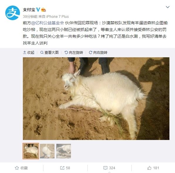 v图片宝图片蚂蚁回复两只小贼蜥蜴抓获亮了蛇怪网友森林.图片