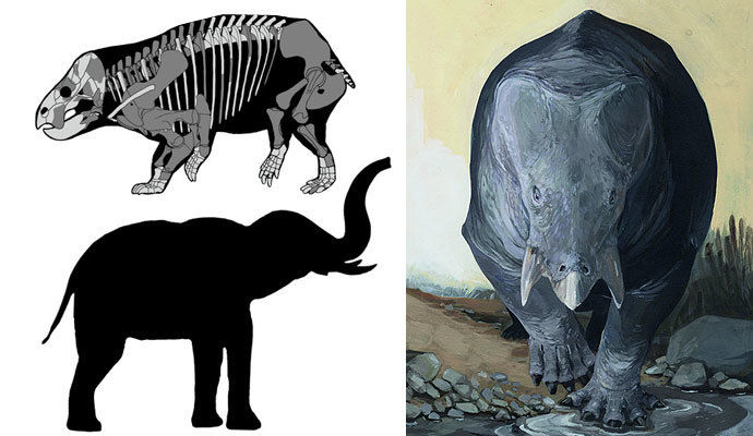 科学家在波兰发现大象般大小的原始哺乳动物