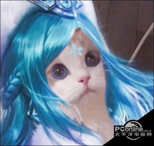 王者荣耀猫咪法师接头头像大全 法师猫猫头像分享