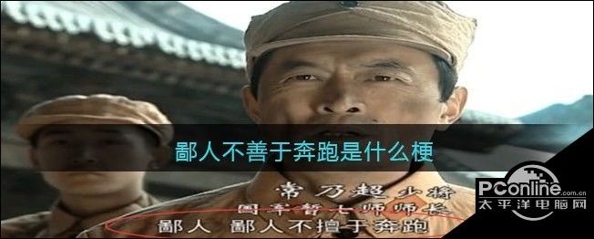 鄙人不善于奔跑是什么梗