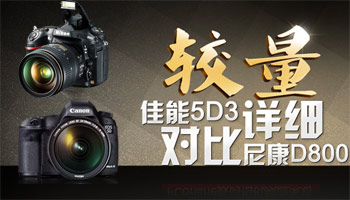 尼康D800/佳能5D3对比评测