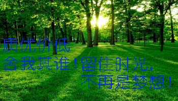 五款给力单反卡片机 留下美好的瞬间