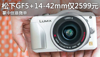 д΢ GF5+14-42mm2599Ԫ