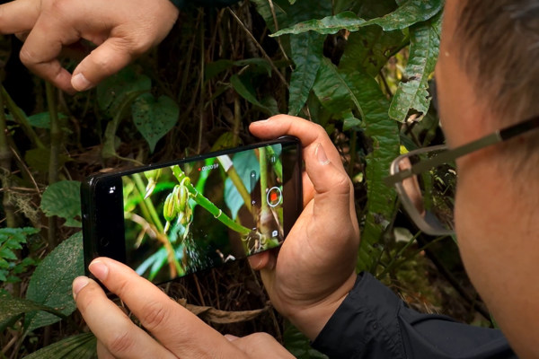 第二代骁龙8影像技术：用科技赋能生态保护，用影像保护自然