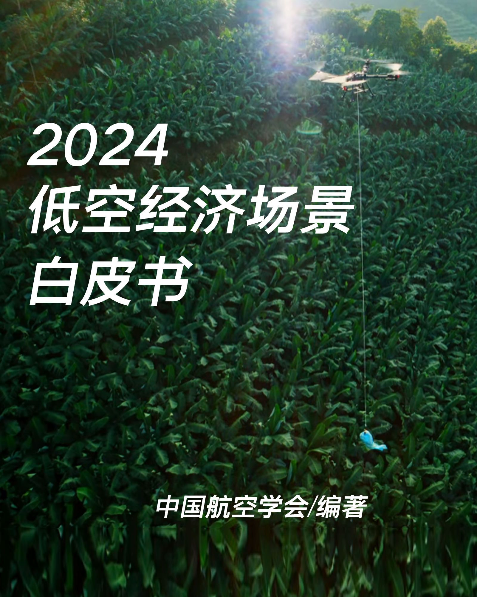 低空經濟場景白皮書