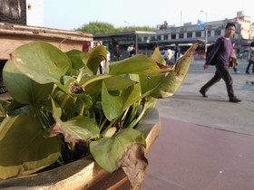 Lumia 800ûĵ