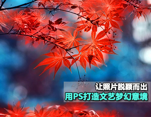 让照片脱颖而出 用PS打造文艺梦幻意境