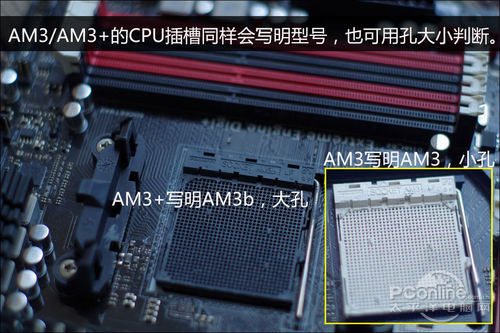 AMD CPUװ