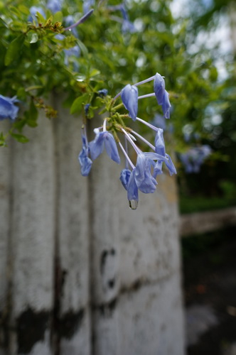 卡尔蔡司12mm F2.8蔡司12mm F2.8评测