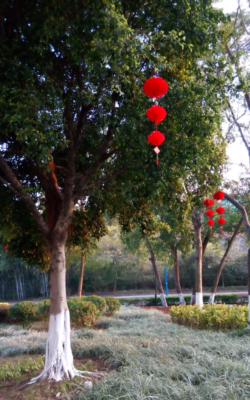 酷派大神酷派大神样张